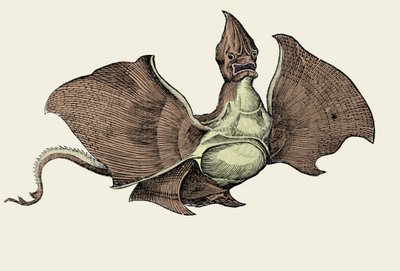 Fantastisches Seemonster, Illustration aus 