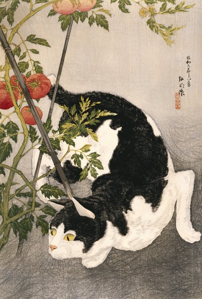 Katze schleicht um eine gestützte Tomatenpflanze, 1931 von Takahashi Hiroaki