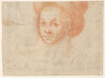 Missbrauch des Gesetzes (Litis Abusus / Der Missbrauch der Prozessführung) von Theodoor Galle