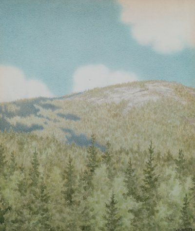 Ein Vogel flog dort von Theodor Severin Kittelsen