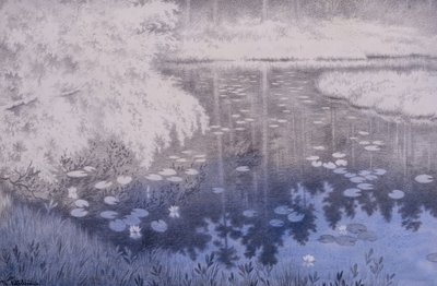Da ist der Teich in Svartebudalen von Theodor Severin Kittelsen