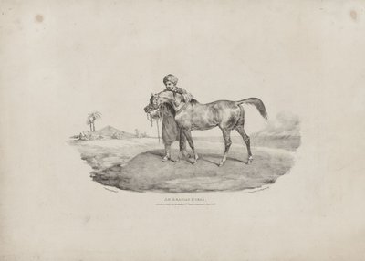 Ein arabisches Pferd von Theodore Gericault