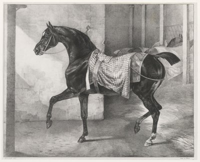 Schwarzes Pferd in einem Stall angebunden von Theodore Gericault