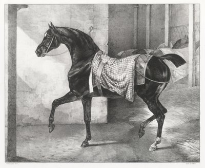 Schwarzes Pferd in einem Stall angebunden von Theodore Gericault