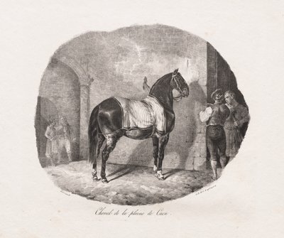 Lithographierte Studien von Pferden: Pl. 7, Pferd von der Ebene von Caen von Theodore Gericault