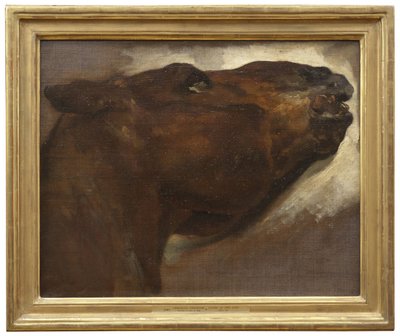 Studie eines toten Pferdes von Theodore Gericault