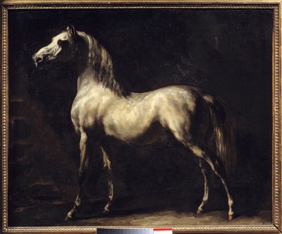 Studie eines Pferdes von Theodore Gericault