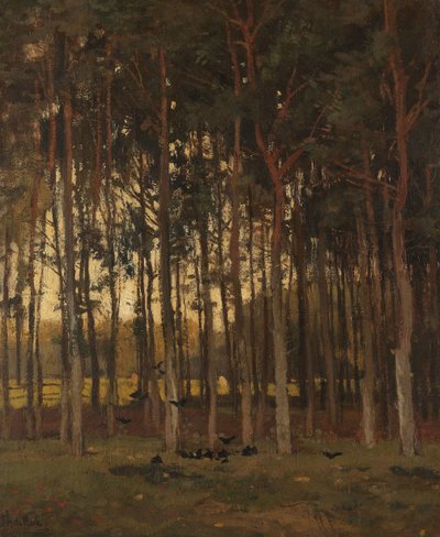 Ansicht im Wald von Theophile de Bock