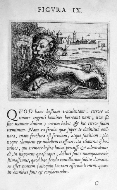 Prophezeiungsfigur IX aus Prognosticatio Eximii Doctoris Paracelsi, 1536 von Theophrastus Bombastus von Hohenheim Paracelsus