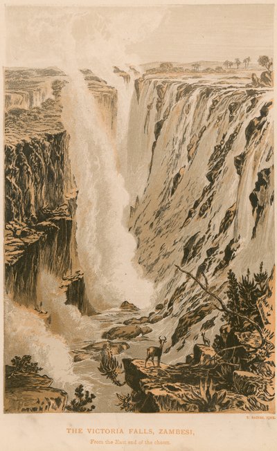 Die Victoriafälle von Thomas Baines