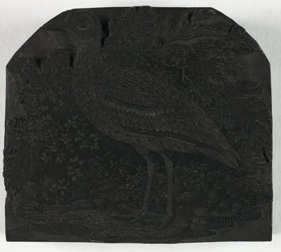 Holzschnitt für Der große Regenpfeifer, aus Eine Geschichte der britischen Vögel von Thomas Bewick