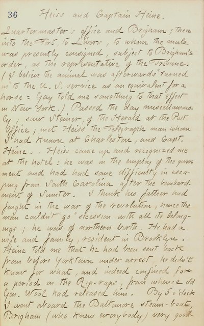 Thomas Butler Gunn Tagebücher - Band 20, Seite 44, 4. Juni 1862 von Thomas Butler Gunn