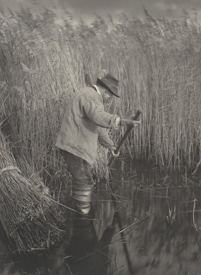 Ein Schilfschneider bei der Arbeit, 1886 von Thomas Frederick Goodall