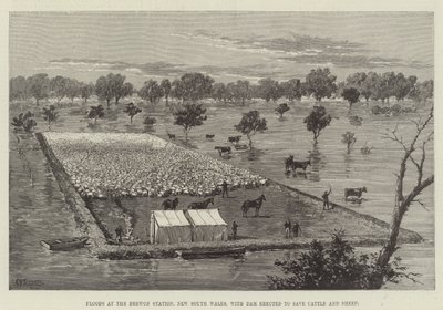 Überschwemmungen an der Brewon Station, New South Wales, mit errichtetem Damm zum Schutz von Rindern und Schafen von Thomas Harrington Wilson