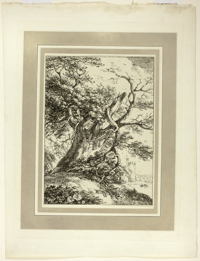Alter Baum, aus der ersten Ausgabe von Specimens of Polyautography von Thomas Hearne