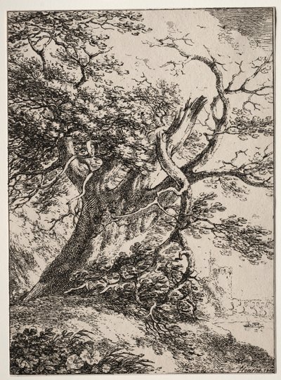 Beispiele der Polyautographie: Landschaft mit einer Eiche von Thomas Hearne
