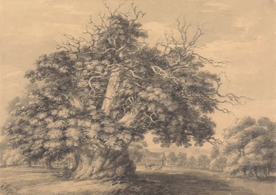 Die Kastanie in Little Wymondley, Hertfordshire von Thomas Hearne