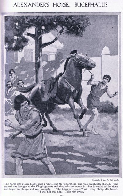 Alexanders Pferd, Bucephalus: das Pferd war glänzend schwarz mit einem weißen Stern auf der Stirn von Thomas Heath Robinson
