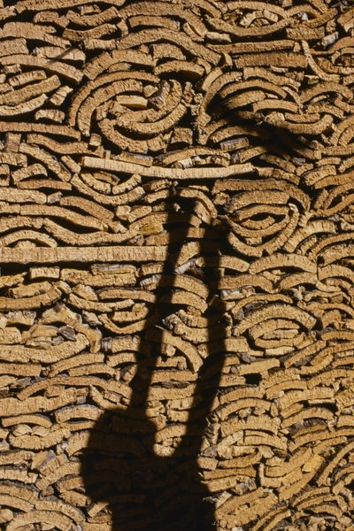 Schatten eines Mannes, der Kork für den Export aus Marokko stapelt von Thomas J. Abercrombie