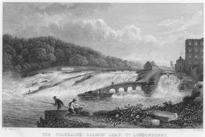 Der Coleraine-Lachssprung, County Londonderry von Thomas Mann (after) Baynes