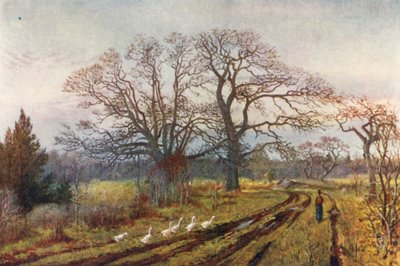 Früher Frühling, nahe Victoria, British Columbia von Thomas Mower Martin