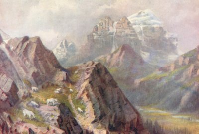 Mount Temple, mit weidenden Wildziegen von Thomas Mower Martin