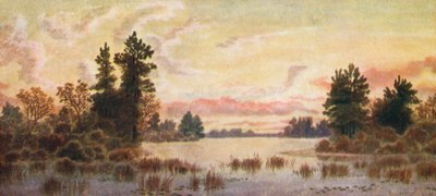 Sonnenuntergang am Canoe Lake, Parry Sound von Thomas Mower Martin