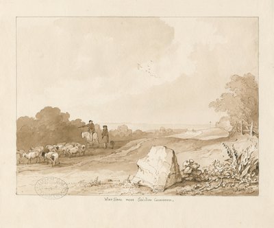 Trysull - Kriegsstein nahe Seisdon Common von Thomas Peploe Wood