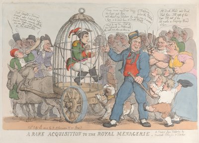 Eine seltene Neuerwerbung für die königliche Menagerie, 28. Juli 1815 von Thomas Rowlandson