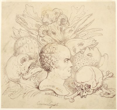 F. Josephus Gall, Kraniologe von Thomas Rowlandson
