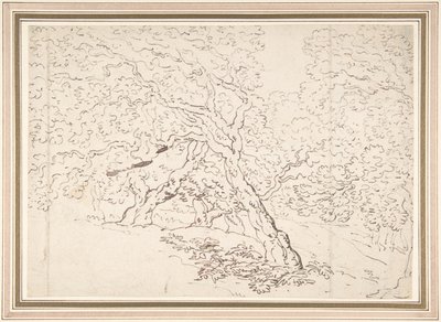 Studie von Bäumen von Thomas Rowlandson