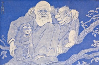 1909 Cartoon Darwin mit Affen (Detail) von Thomas Theodor Heine