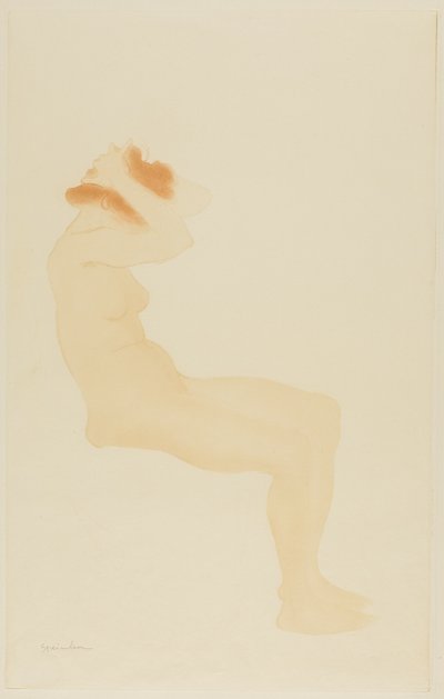 Frau im Profil, die ihr Haar richtet von Théophile Alexandre Pierre Steinlen