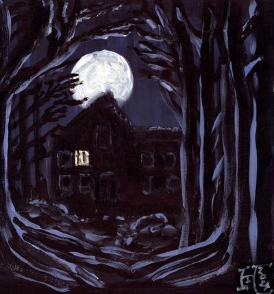 Mondbeschienene Geisterhaus von Tim Hoinkis