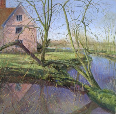 Sprießender Weidenbaum von Timothy Easton
