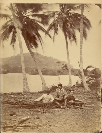 Besatzungsmitglieder der Selfridge-Expedition zum Isthmus von Darién (Panama) von Timothy H. OSullivan