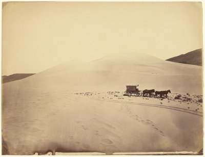 [Wüstensandhügel nahe Sink of Carson, Nevada] von Timothy H. O
