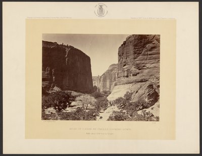  von Timothy H. O