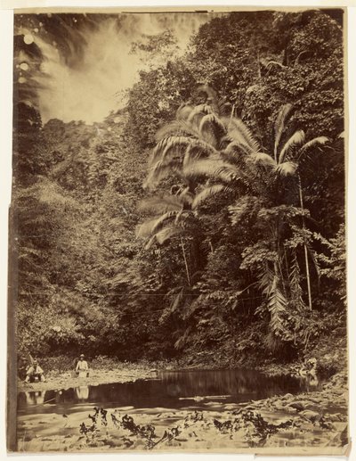  von Timothy H. O