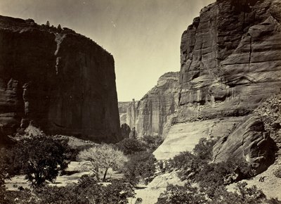 Kopf des Cañon de Chelle, Blick nach unten. Wände etwa 1200 Fuß hoch von Timothy O