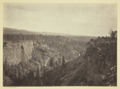 North Fork Canyon, Sierra Blanca Creek, Arizona von Timothy O