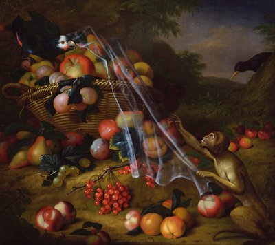 Gemischtes Obst mit einem Affen, einem Papagei, einem Eichelhäher und zwei Finken in einer Landschaft von Tobias Stranover
