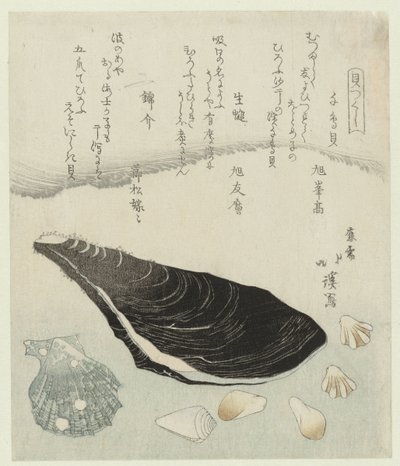 Regenpfeifermuscheln, rohe Muschel und Brokatmuschel (Eine Serie von Schalen) von Totoya Hokkei