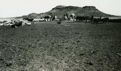 Ansicht des archäologischen Gebiets von Naqa, mit Dromedaren und Rindern, Sudan, Fotografie von Ugo Monneret de Villard von Ugo Monneret de Villard