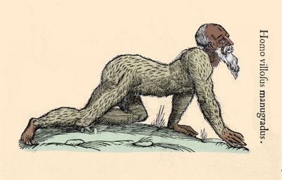Monsterkreatur: ein behaarter Mann, der auf allen Vieren geht. Platte nach Ulisse Aldrovandi (1522-1605), „Monstrorum Historiae“, Bologna 1642 Mailänder von Ulisse Aldrovandi