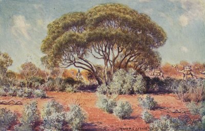 Ein fruchtbarer Fleck in Zentral-Australien, 1923 von Unbekannt