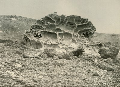 Ein verwitterter Kenyt-Fels in der Nähe der Winterquartiere, ca. 1908, 1909 von Unbekannt