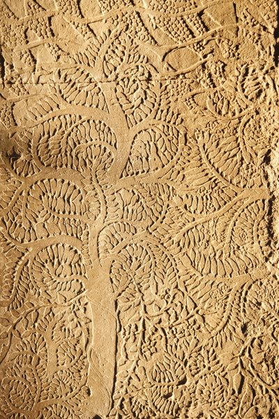 Angkor Wat, geschnitztes Detail an der Wand, Baum, Siem Reap, Kambodscha von Unbekannt