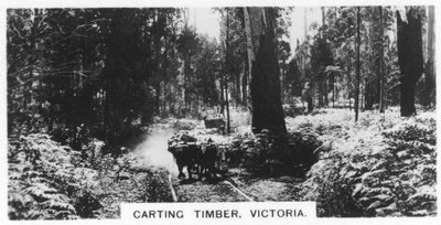 Holztransport, Victoria, Australien, 1928 von Unbekannt