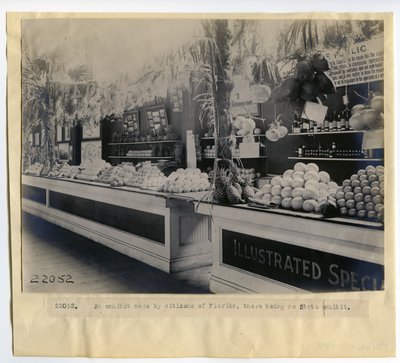 Florida Gartenbauausstellung im Palast der Gartenbaukunst auf der Weltausstellung 1904 von Unbekannt